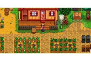 Even after 1.6, Stardew Valley is missing a tiny