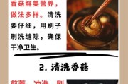 健康美味,营养丰富,一道下饭好菜(健康美味,营养丰富,一道下饭好菜)