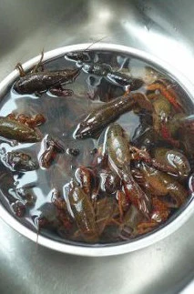 火爆流行街头的龙虾盖浇饭 ,小龙虾洗净后用加了两勺盐的清水泡10分钟,然后再漂洗至水清。