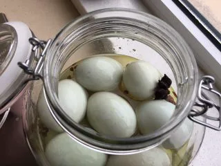 100%零失败 出油起沙咸鸭蛋,倒入罐子内