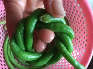 土豆肉末酿豆角,由于我买的豆角特别长,能够编三圈,编够三圈了,把多余的豆角,剪开(不要扔掉哦,可以炒来吃的)