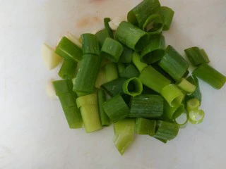 西红柿西葫芦炒肉片,葱切小段，蒜切片