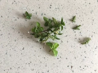 蓝色之恋 夏日饮品,薄荷叶洗干净