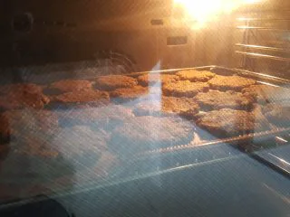 粗粮燕麦饼干,12.放入已预热好的烤箱中，上下火170度，中层烤25分钟左右。