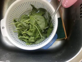 粉鸡汤(阜阳特色小吃),苋菜洗干净备用