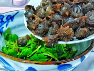 家常快手菜【凉拌海参】,把切好的海参跟香菜料放一个碗里，拌均匀即可端上桌品尝。