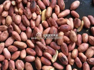 【花生核桃露】健脑益智的学生饮品,花生上电烤锅烤熟