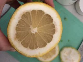 夏日清肠饮品,把籽挑出