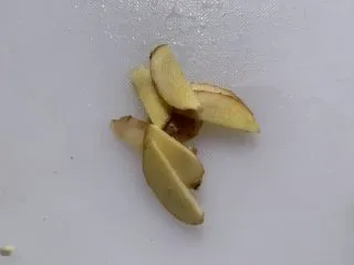 娃娃菜炖豆腐,生姜切片