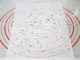 武汉小吃 糯米包油条,在硅胶垫上铺一张油纸,均匀的撒上黑芝麻。