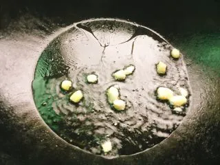 家常菜+丝瓜炒蛋,加几个香葱头爆香