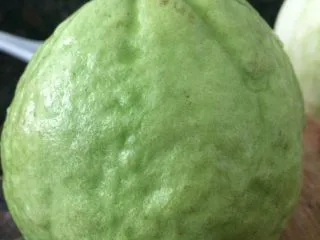 甘草水果～潮汕小吃之一,开始准备水果了，番石榴洗干净。