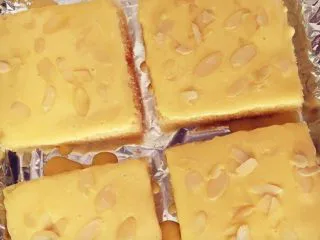 街头流行美食～【岩烧乳酪】,表面撒杏仁片。