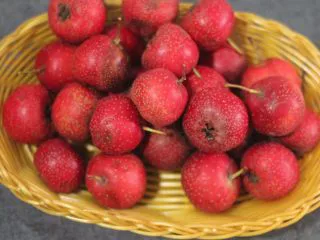 老北京小吃之冰糖葫芦,山楂洗净控干水分,外面小商贩卖的肯定没有自己洗的干净。