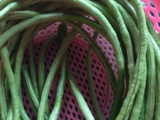 土豆肉末酿豆角,豆角提前泡一下清水,(防止有农药残留)洗干净,把头尾切掉一点