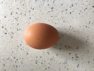 益生菌西士多,鸡蛋一个