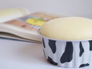 雪媚娘,大白胖子