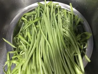 快手菜—青龙菜炒蛋,浸泡在水里一会儿,清除残留农药和泥土。