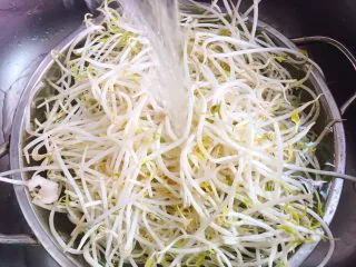 福州特色小吃+炸春卷,豆芽菜冲洗干净