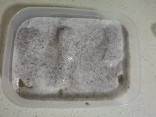 厚切酸奶冰淇淋,在把剩下的一半酸奶盖在上面