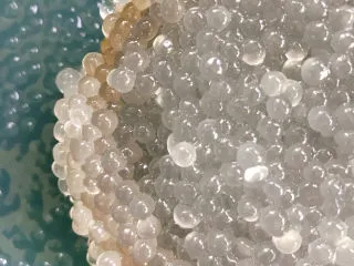 西米的完美煮法,这样就算煮好了