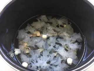 百变水果 三色水果银耳粥,放入适量的水，水的量随个人喜欢银耳粥的浓度而定。
