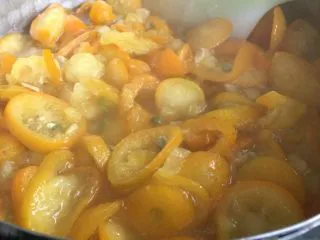 止咳化痰的金桔酱,过程中要不断的翻拌，金桔糖分大，很粘稠，容易糊底