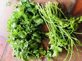 客家小吃:蒜苗粿(葫粄)➕菜头粄,芹菜择去叶子,洗净