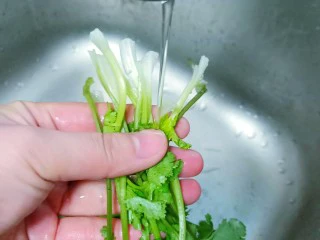 家常快手菜【凉拌海参】,香菜去须在流水下冲洗掉泥沙再切小段备用。