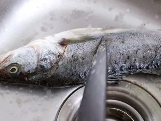 鲜美无比的粤式清蒸鲈鱼,把鲈鱼放到水池里后，用刀去鳞，如果鱼鳞不除会影响口感。