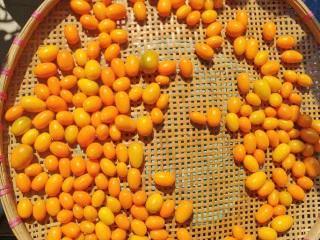 咸金桔【腌制方法】,用小篮子装起金桔,沥干水,风干一天。