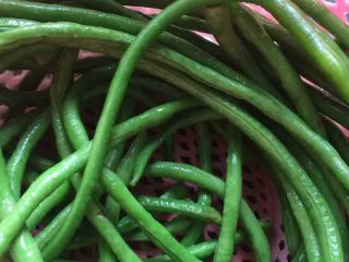 土豆肉末酿豆角,烧开水,加少许油,汤一分钟,捞出,过冷水,(使豆角柔软,便于编豆角圈)