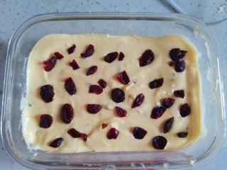 蔓越莓冰激凌,再倒入模具,表面抹平撒上一点蔓越莓干