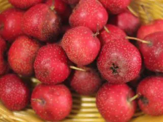 老北京小吃之“山楂糕”,山楂洗净控一下水份。