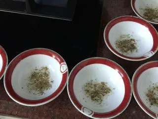 厦门名小吃碗仔粿（葱油粿）,鹌鹑蛋煮好，剥好备用。海蛎干用研磨机磨成粉。