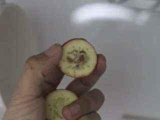 老北京小吃之冰糖葫芦,掰开把山楂子扣去丢掉。