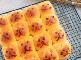 小猫咪变身松软香甜的南瓜小餐包 