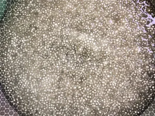 西米的完美煮法,倒掉水的西米