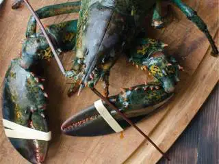 越南风味龙虾卷,如果你用的活龙虾 需要14-16分钟煮熟，加入足够的水和1汤匙粗盐至锅底，煮开.