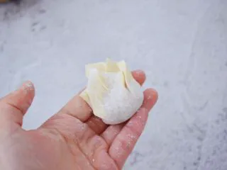 鲜虾猪肉馄饨,再收口捏紧，馄饨的包法没有固定，随自己喜欢