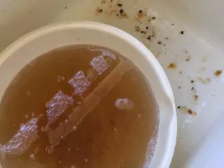 美人甜点：桃胶,先把桃胶放进一个容器内，用暖水覆盖泡着，并且清洗干净。