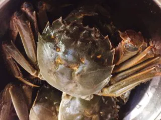 家常菜+红烧大闸蟹,全部洗好