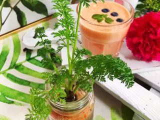 卡乐比胡萝卜香蕉营养奶昔,最后再安利一个小玩意给大家，胡萝卜的根部切下来泡在水里，两三天换一次水，一个星期左右它就会长出根须，顶部的叶子也会越长越多，然后就变成一份漂亮的绿植，放在桌子上做小盆栽很好看的哦~