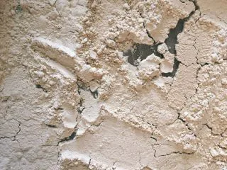 从小吃到大都吃不腻的黑芝麻桃酥,烤好的蛋糕粉有淡淡的麦香味,颜色变深。