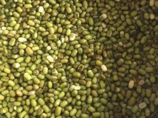 消暑小吃——绿豆糕,绿豆浸泡12小时，中间好多次换水