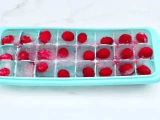 橘子蔓越莓蜂蜜冰饮,把蔓越莓果清洗后，放入冰格里，加入纯净水，放入冰箱冷冻。