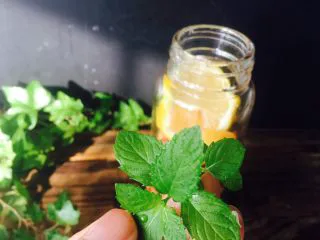 美丽的水果饮品,加薄荷叶,薄荷叶净水冲一下。我自己种的。