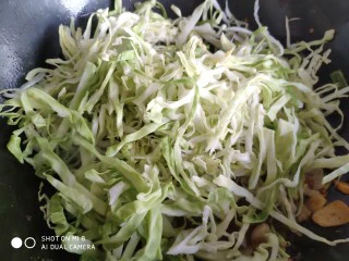 香辣粉丝包菜,放入切好的包菜丝。