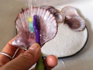 蒜蓉粉丝蒸扇贝,扇贝壳也要刷洗干净。