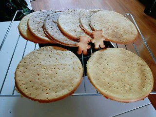 俄罗斯提拉米苏#异国美食#,烤好后把边角取下，放在旁边备用，大圆饼干放烤网上晾凉，依次烤好。